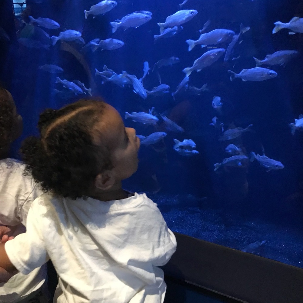 Meet your Posher, Whitney